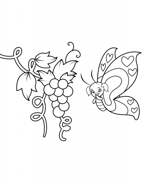 Cute Butterfly Girl and Bunch of Grapes coloring page image