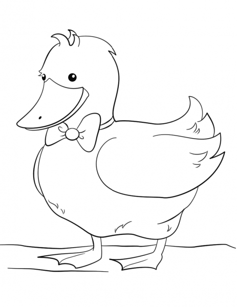 Cute Cartoon Duck Wearing Bow Tie coloring page image