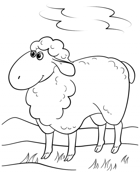 Cute Cartoon Sheep coloring page image