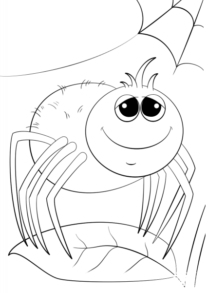 Cute Cartoon Spider coloring page image