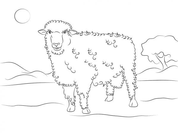 Cute Corriedale Sheep  coloring page image