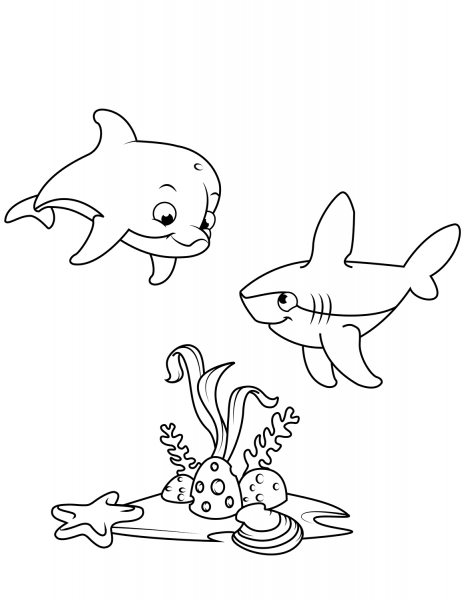 Cute Dolphin and Shark coloring page image