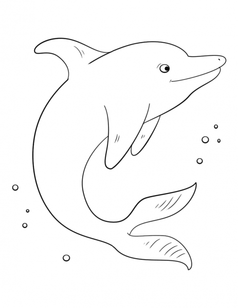 Cute Dolphin coloring page image