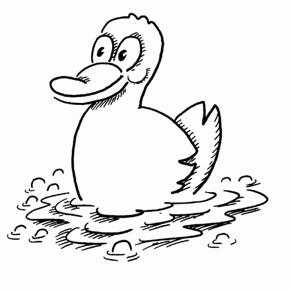 Cute Duck coloring page image
