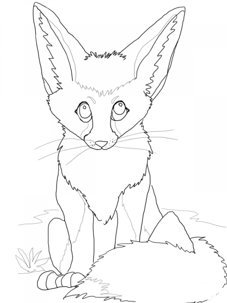 Cute Fennec Fox coloring page image