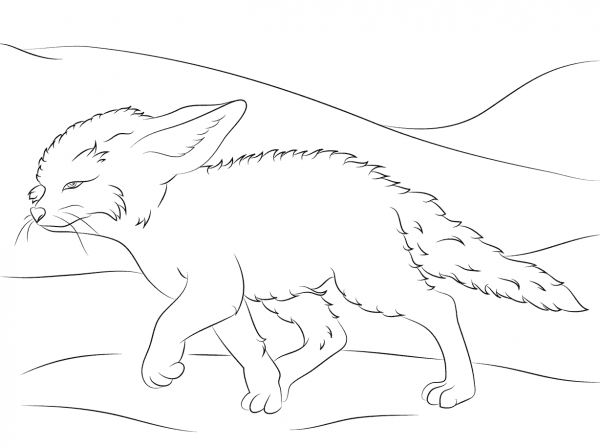 Cute Fennec Fox Walks coloring page image