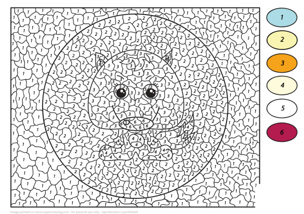 Cute Fox Color by Number image