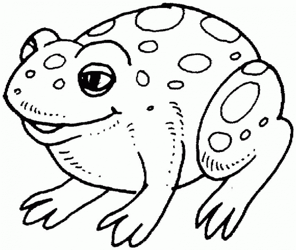 Cute Frog  coloring page image