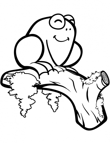 Cute Frog on a Branch coloring page image