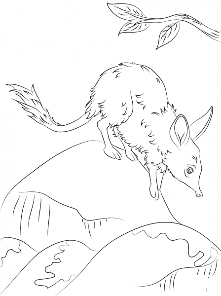 Cute Greater Bilby coloring page image