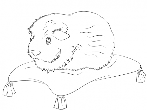 Cute Guinea Pig Sits on A Pillow coloring page image