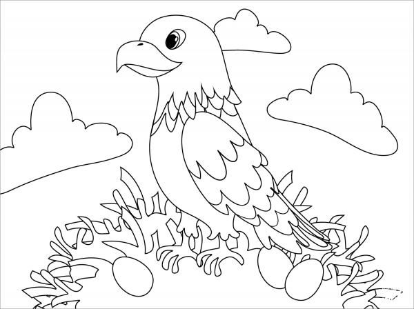 Cute Hawk coloring page image