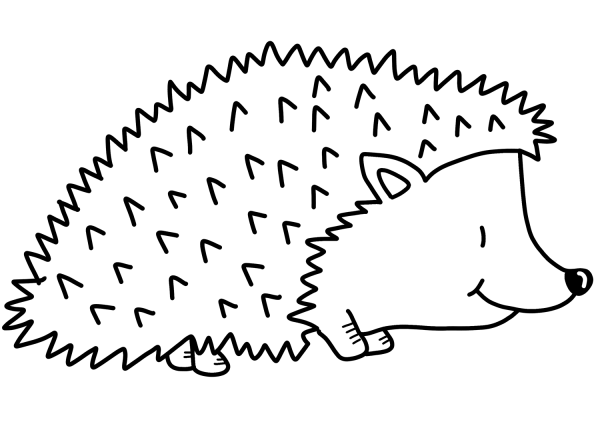 Cute Hedgehog coloring page image
