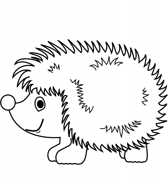 Cute Hedgehog coloring page image