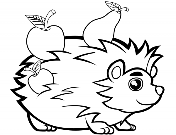 Cute Hedgehog with Fruits coloring page image