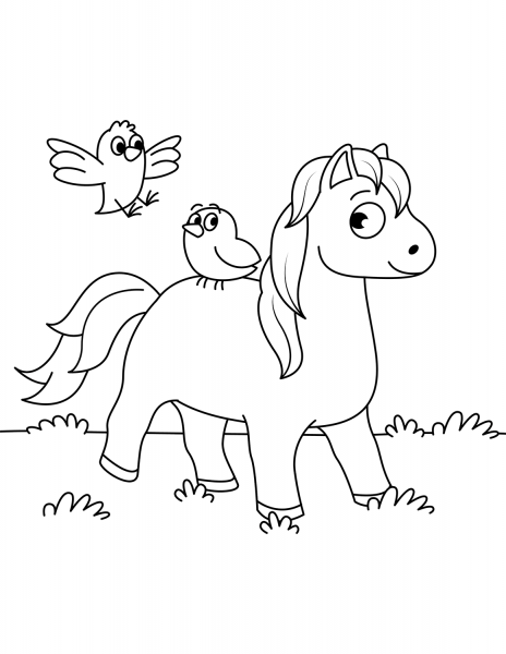 Cute Horse and Two Little Birds coloring page image