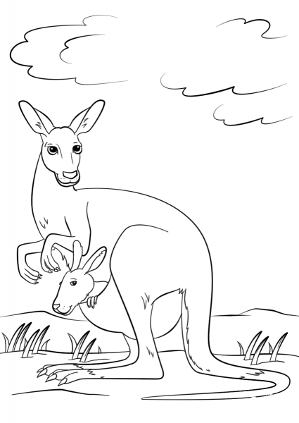 Cute Kangaroo with Baby in Pouch coloring page image