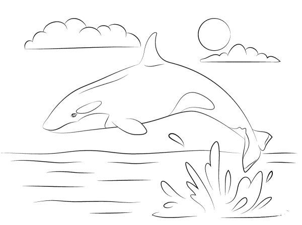 Cute Killer Whale is Jumping Out Of Water coloring page image