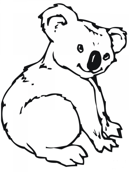 Cute Koala coloring page image