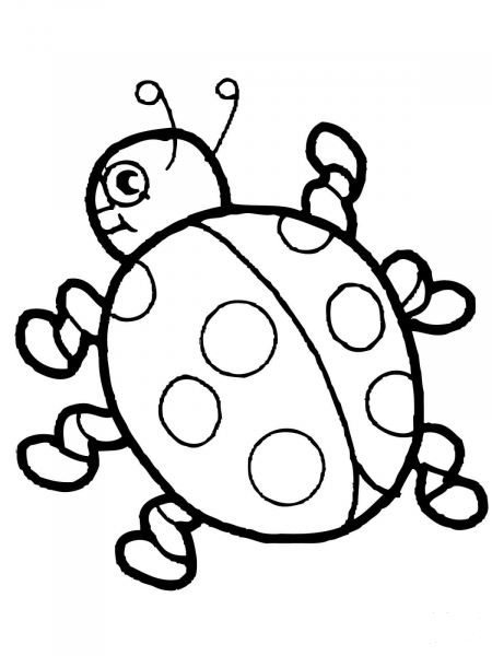 Cute Ladybug coloring page image