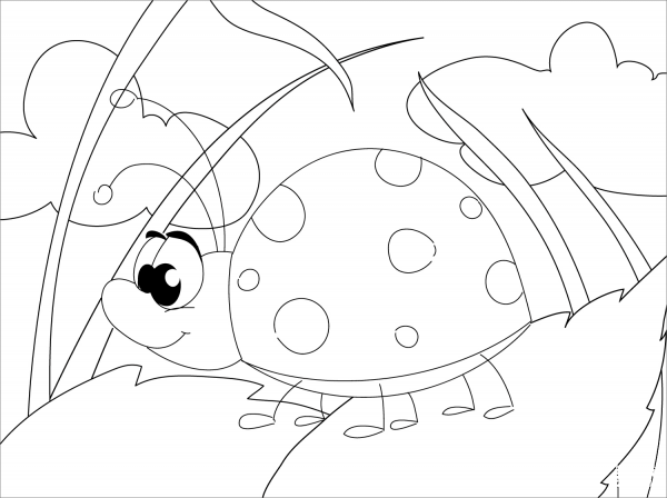 Cute Ladybug coloring page image