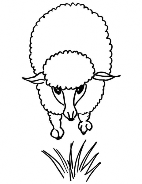 Cute Lamb  coloring page image