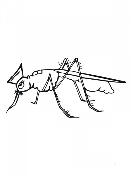 Cute Mosquito coloring page image