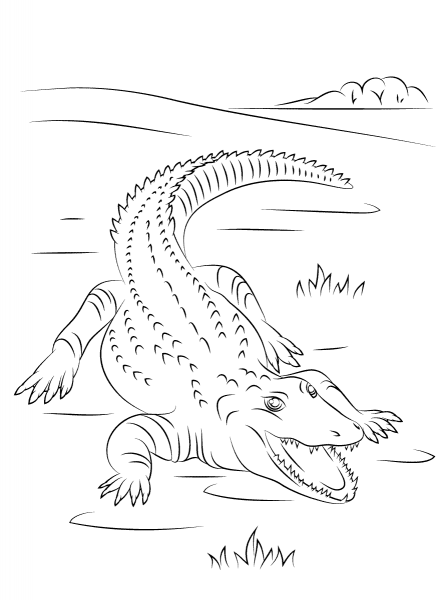 Cute Nile Crocodile coloring page image