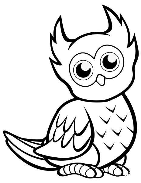 Cute Owl coloring page image