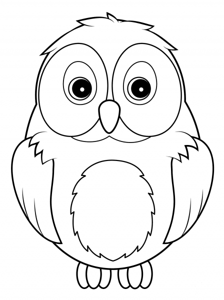 Cute Owl coloring page image