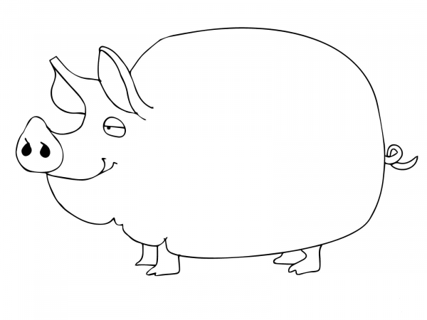 Cute Pig coloring page image