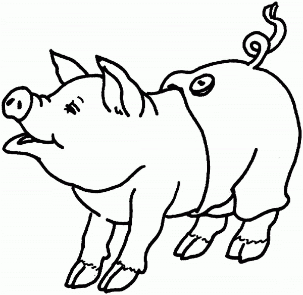 Cute Pig coloring page image