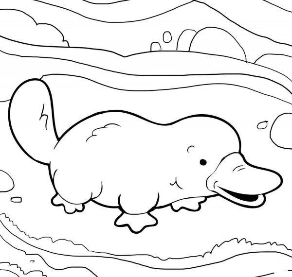 Cute Platypus coloring page image