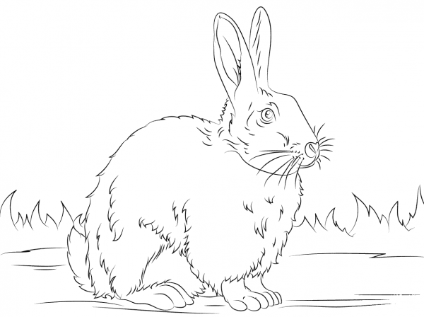 Cute Rabbit coloring page image
