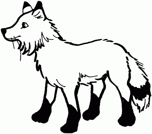 Cute Red Fox coloring page image