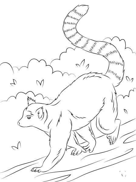 Cute Ring Tailed Lemur coloring page image