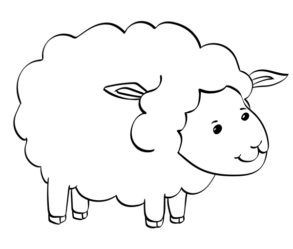 Cute Sheep coloring page image