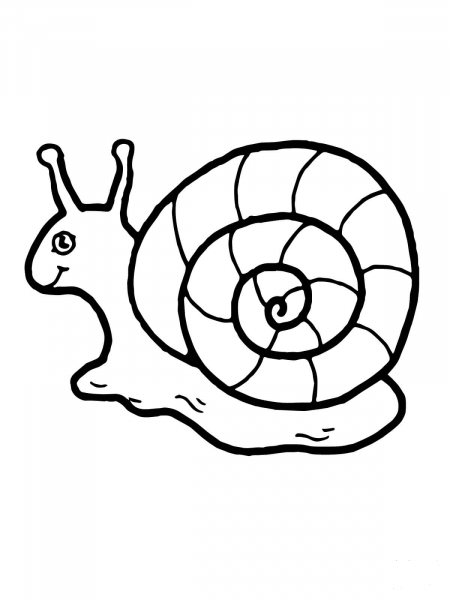 Cute Snail coloring page image