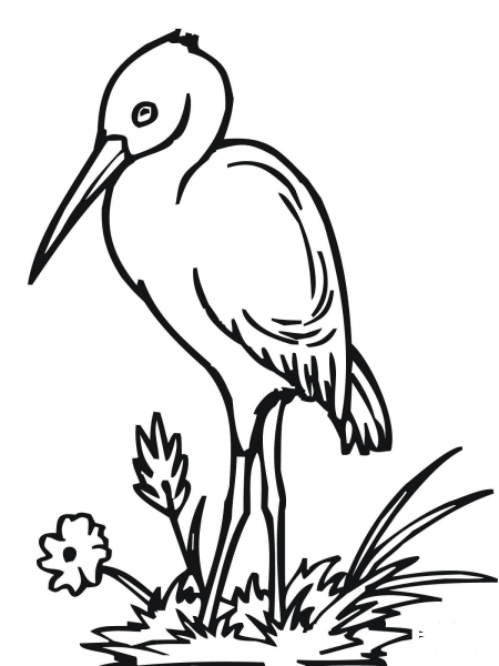 Cute Stork coloring page image