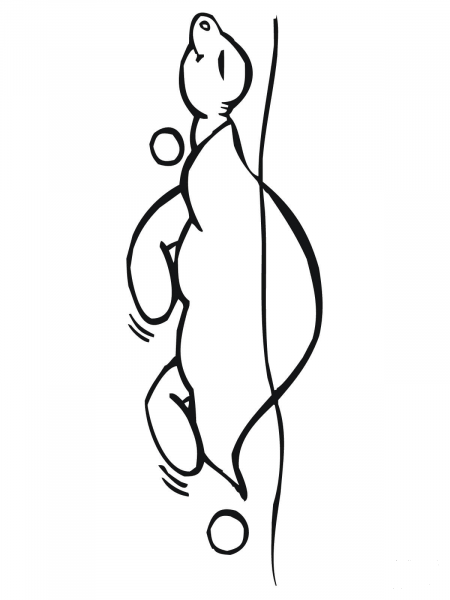 Cute Turtle coloring page image