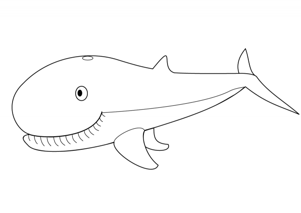 Cute Whale coloring page image