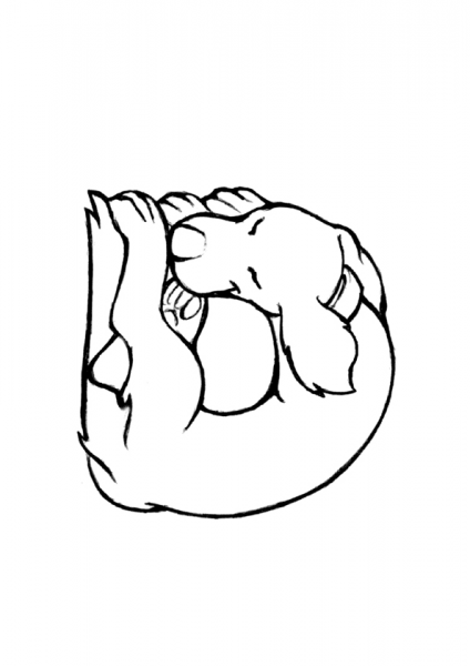 D is for Dog coloring page image