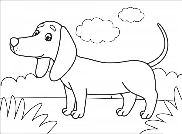 Dachshund coloring page image