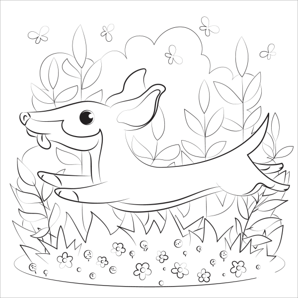 Dachshund coloring page image