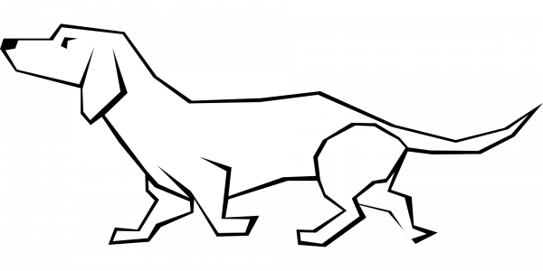 Dachshund  coloring page image