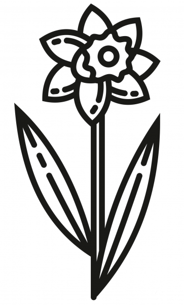 Daffodil coloring page image