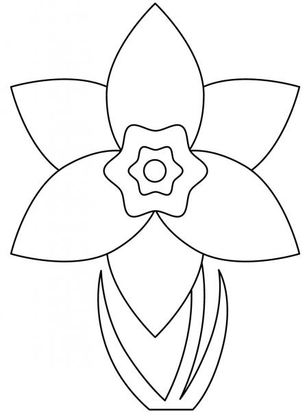 Daffodil coloring page image