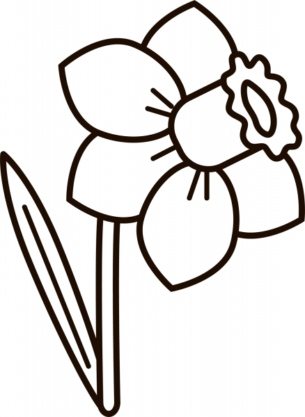 Daffodil coloring page image