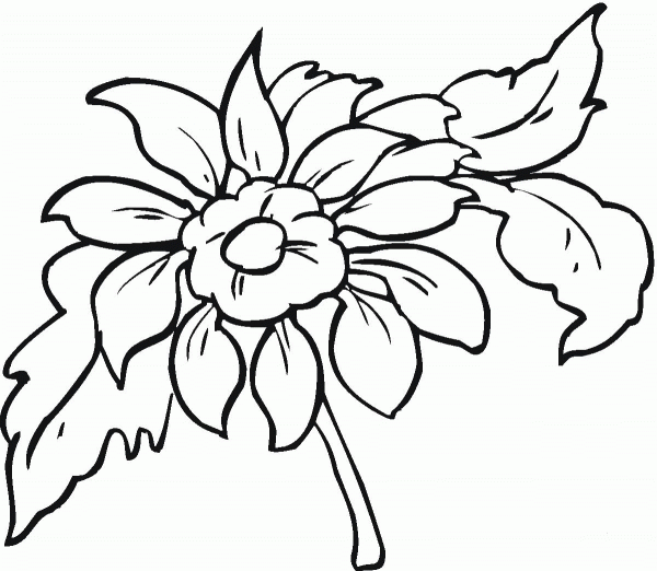Dahlia 2 coloring page image