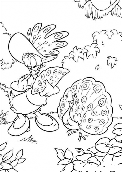 Daisy And Peacock  coloring page image